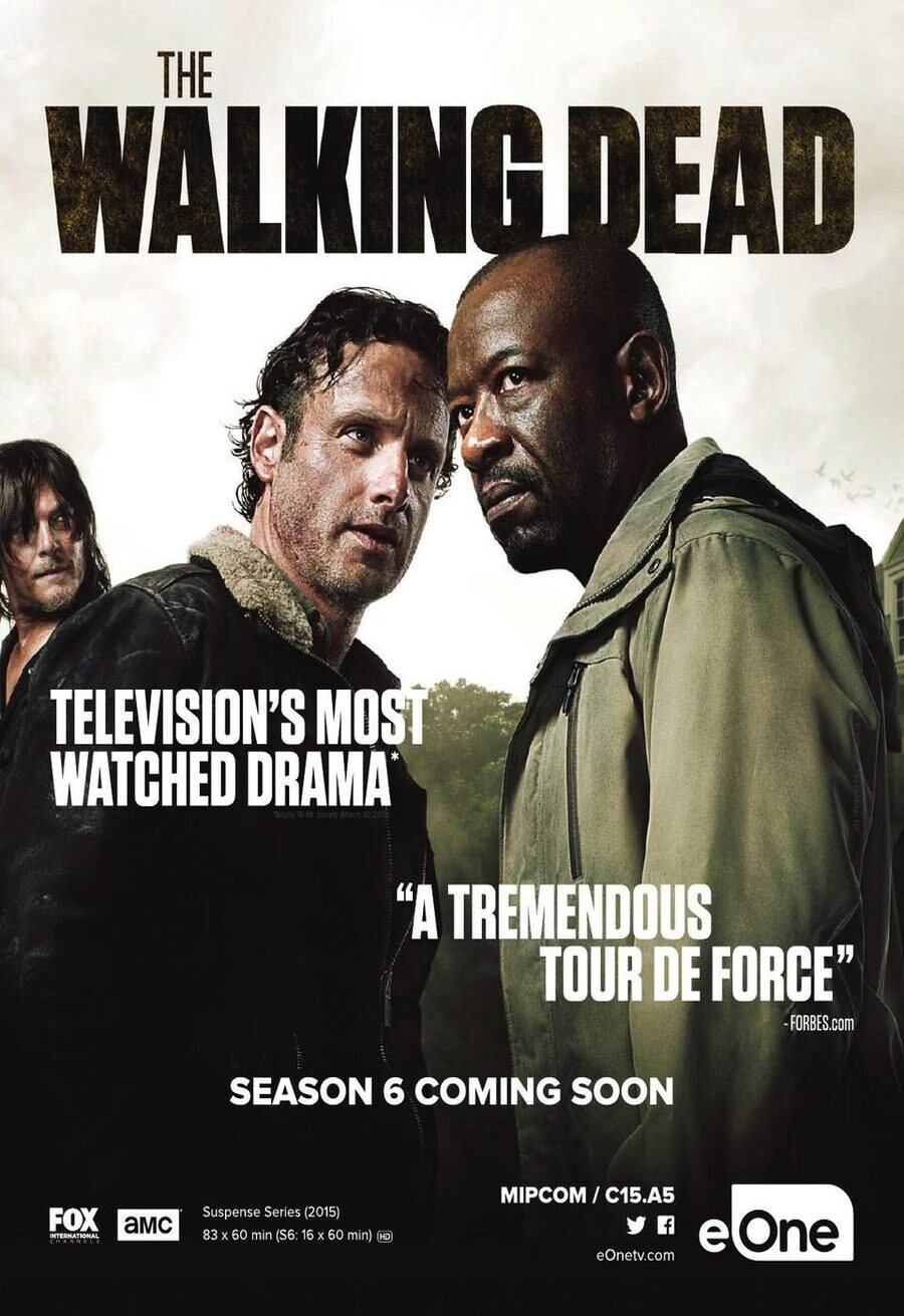 Poster of The Walking Dead - Temporada 6