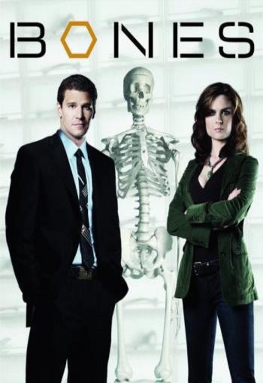 Poster of Bones - Temporada 1