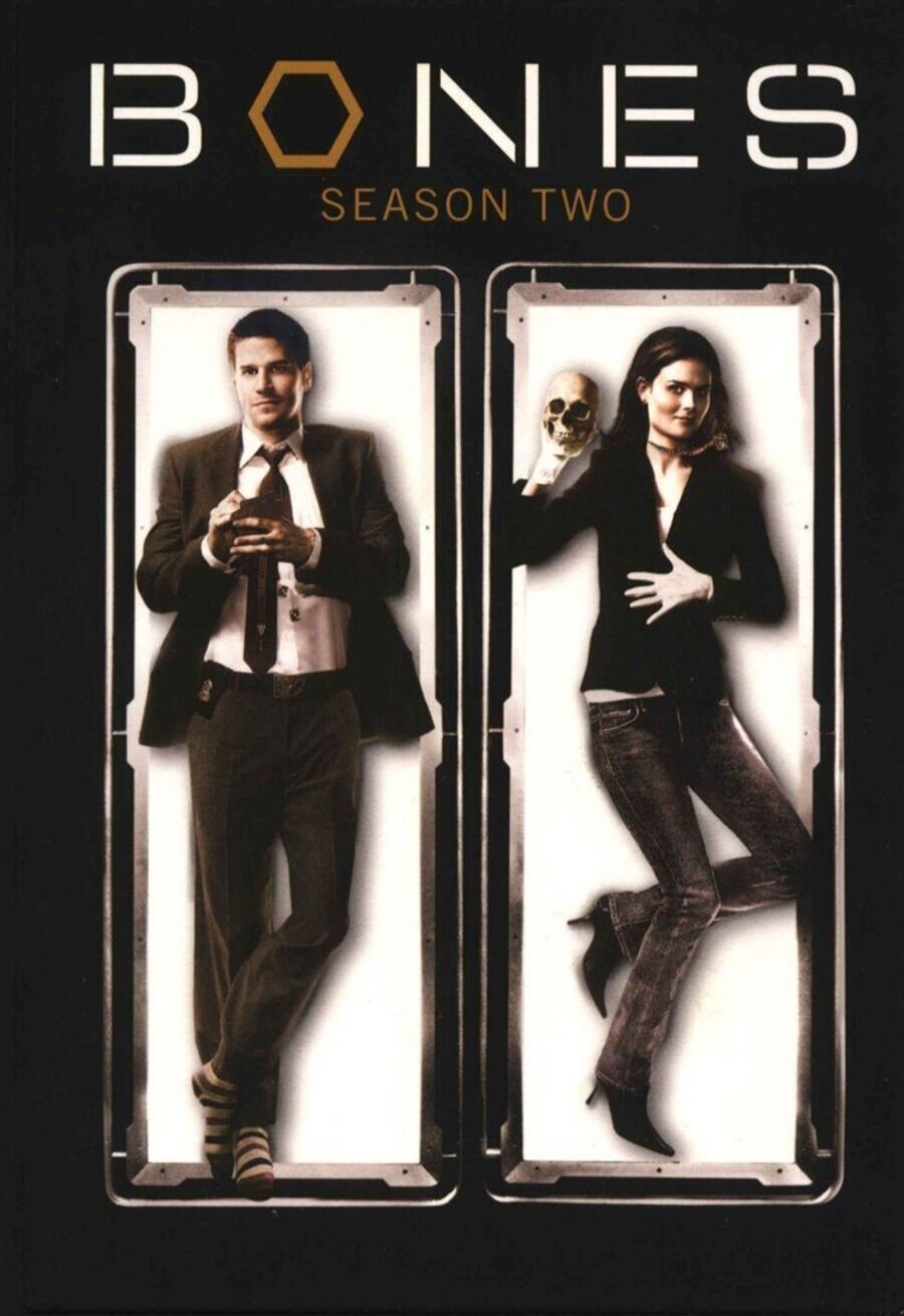 Poster of Bones - Temporada 2