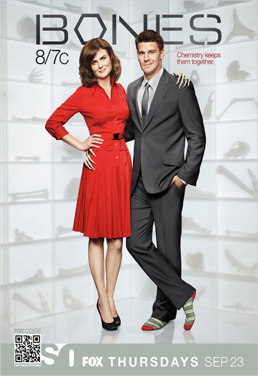 Poster of Bones - Temporada 6