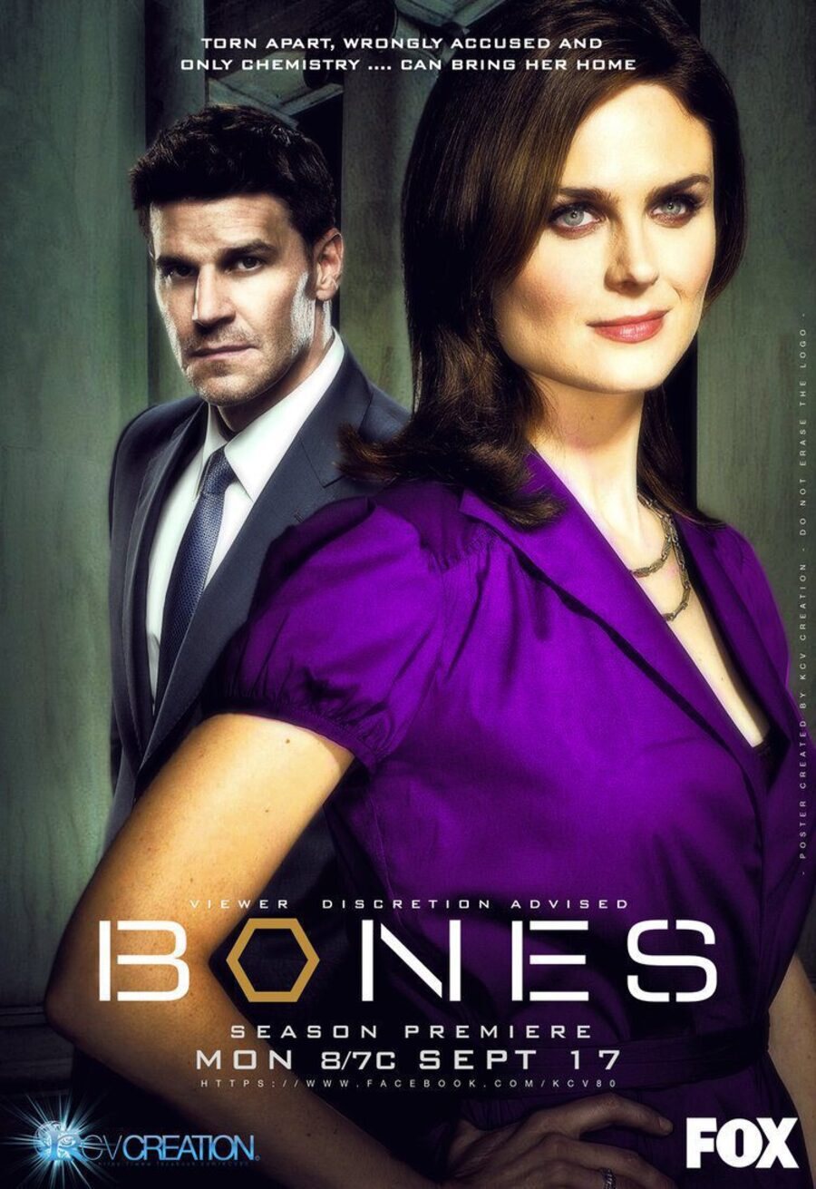 Poster of Bones - Temporada 8