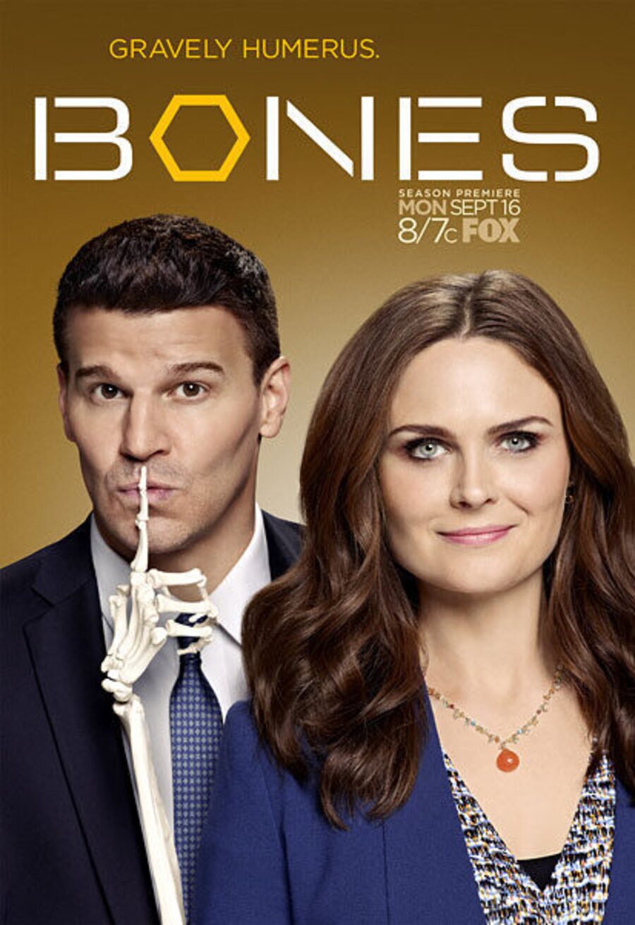 Poster of Bones - Temporada 9