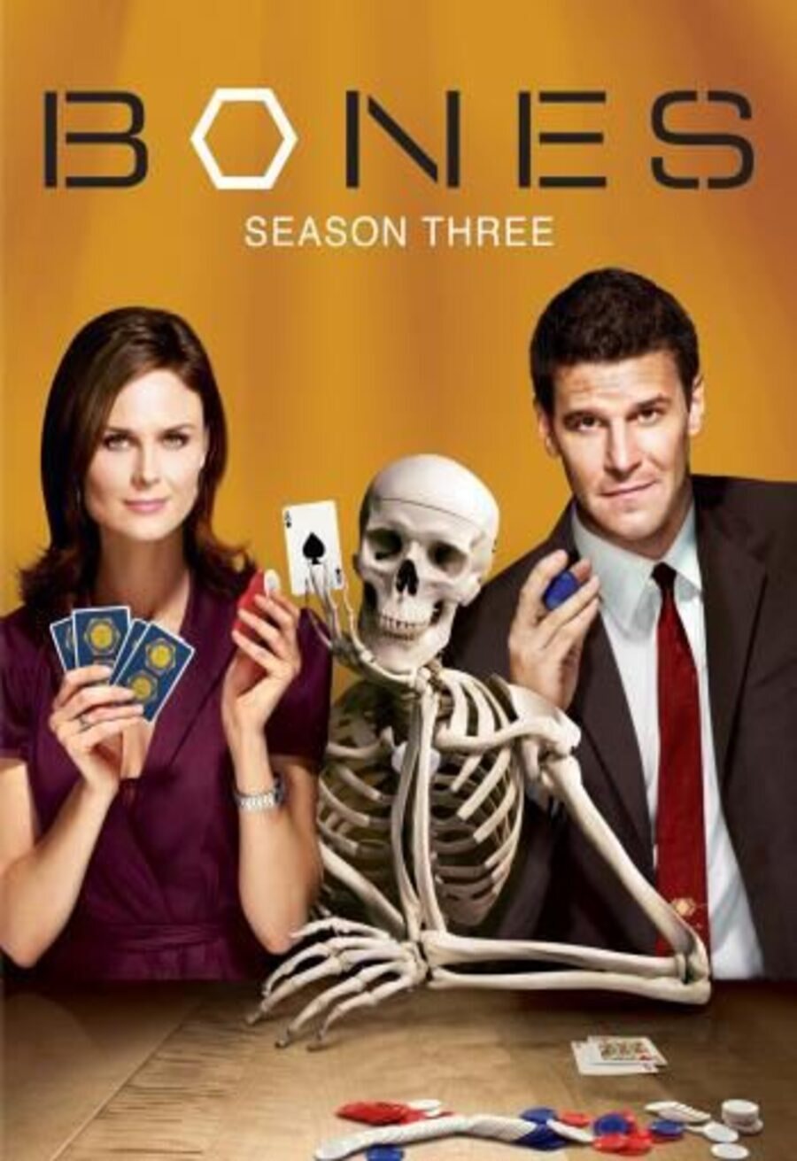 Poster of Bones - Temporada 3