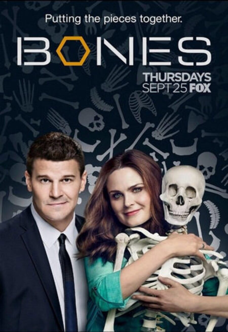 Poster of Bones - Temporada 10