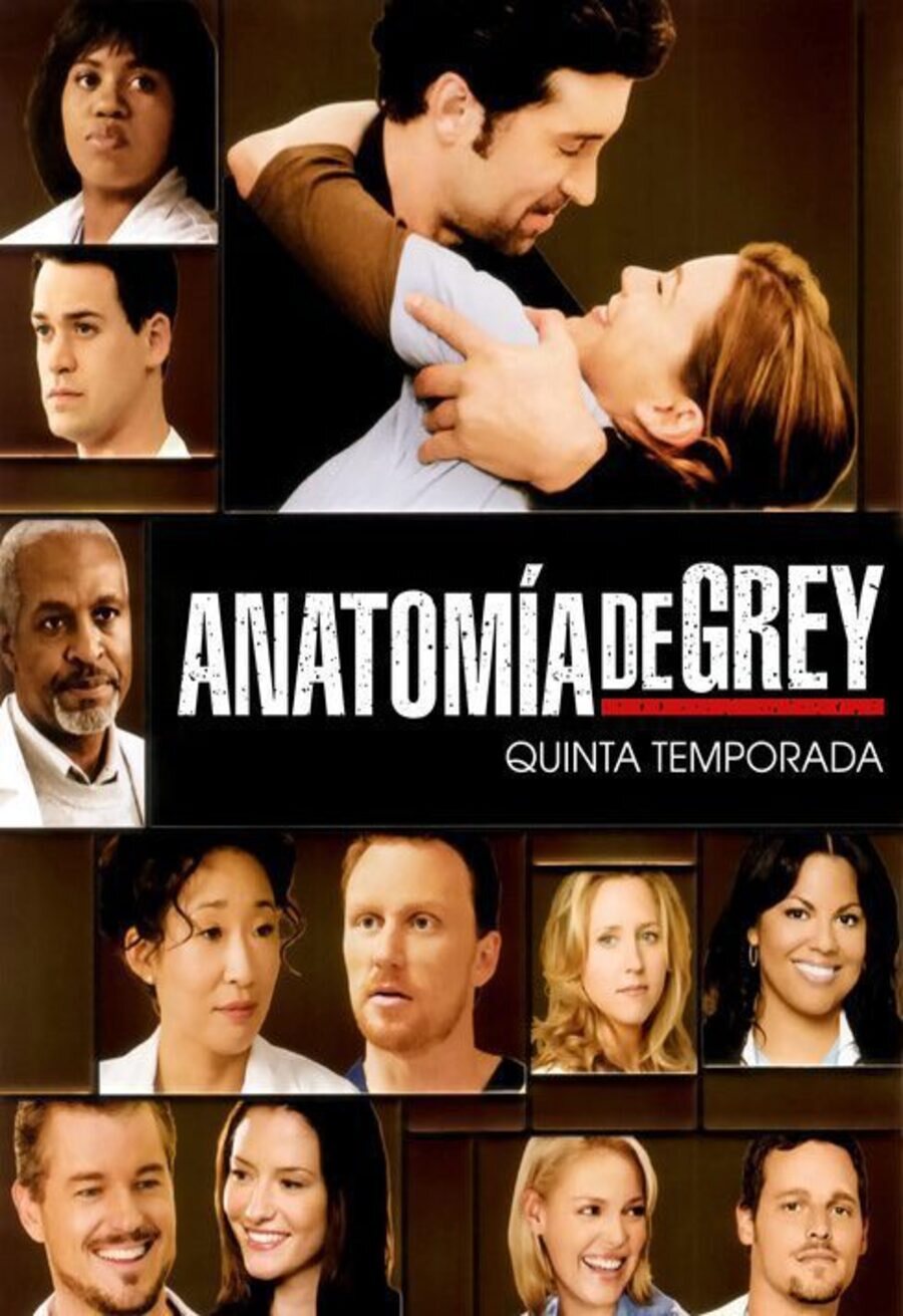 Poster of Grey's Anatomy - Temporada 5