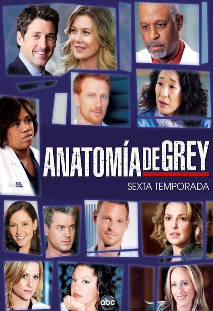 Poster of Grey's Anatomy - Temporada 6