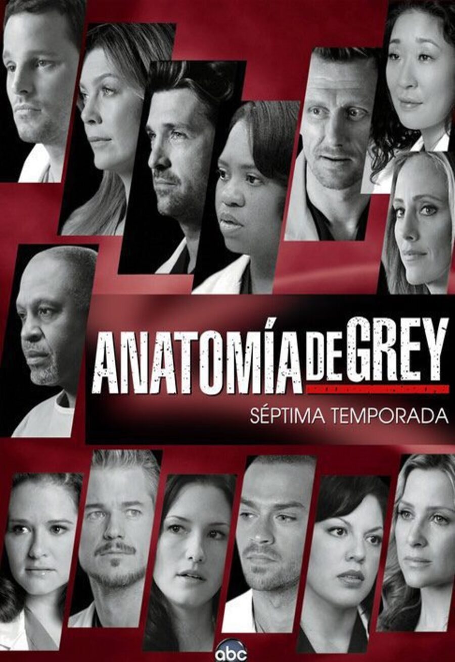 Poster of Grey's Anatomy - Temporada 7