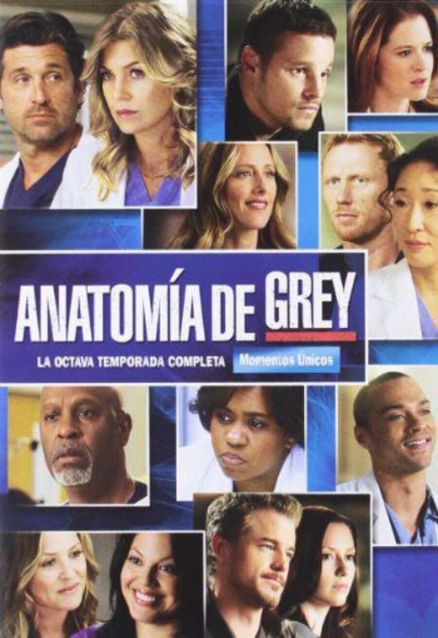 Poster of Grey's Anatomy - Temporada 8