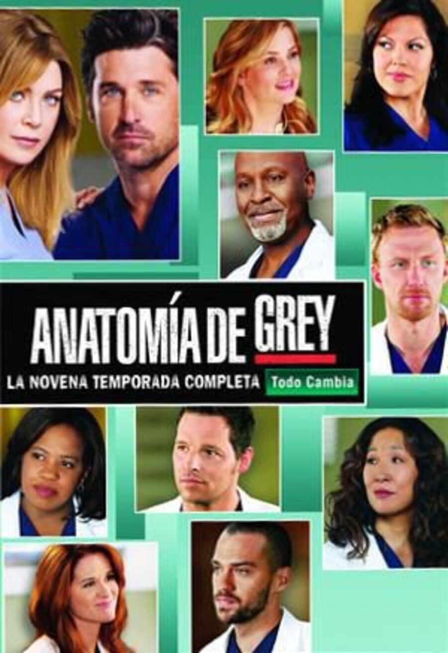 Poster of Grey's Anatomy - Temporada 9