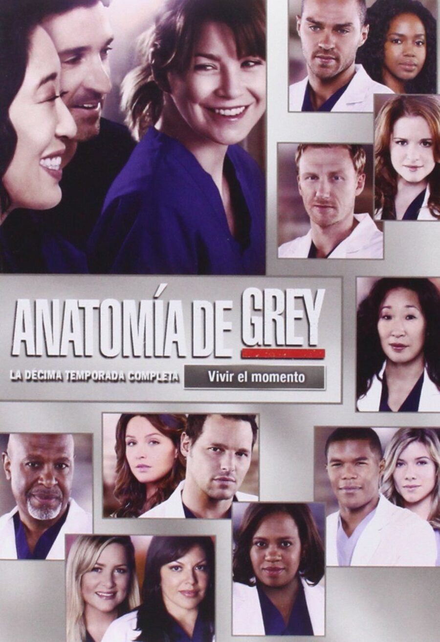 Poster of Grey's Anatomy - Temporada 10