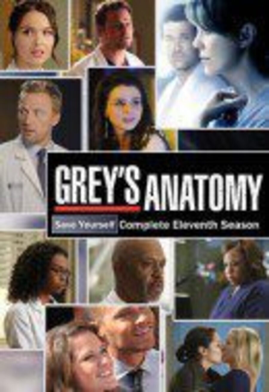 Poster of Grey's Anatomy - Temporada 11