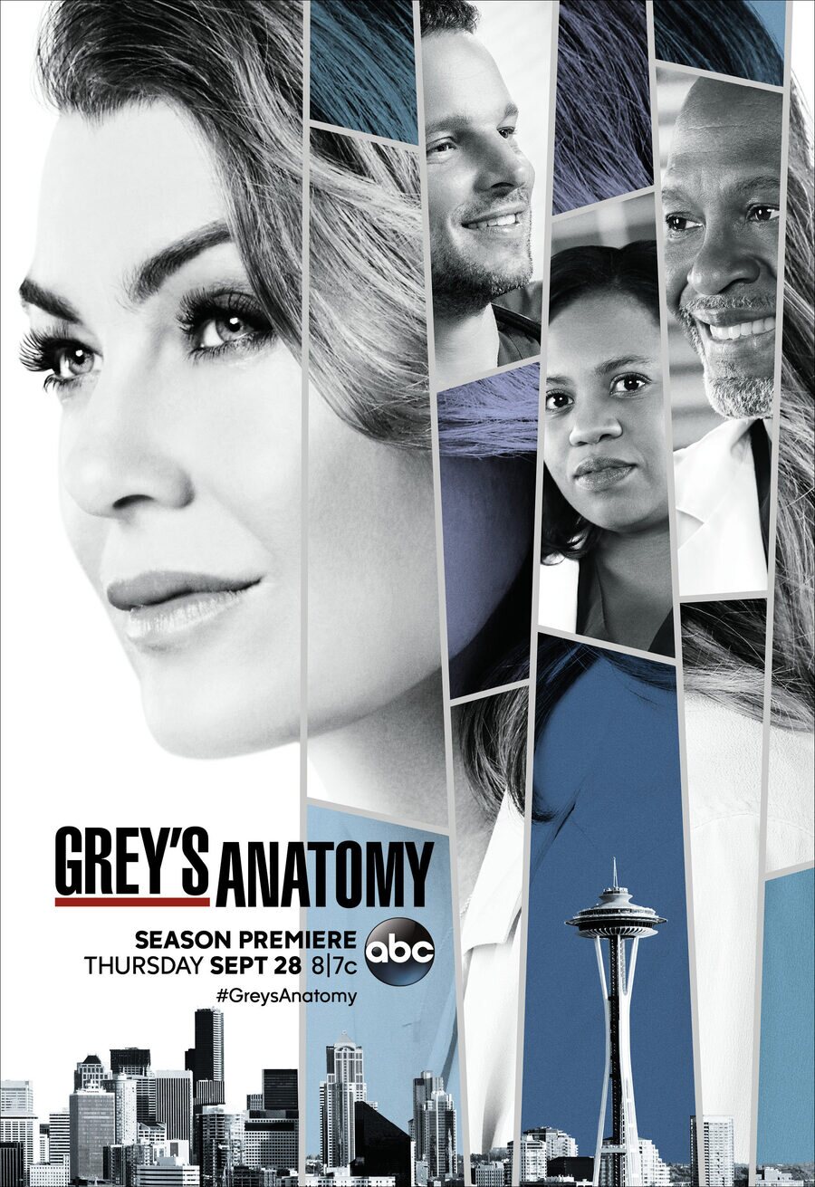 Poster of Grey's Anatomy - Temporada 14