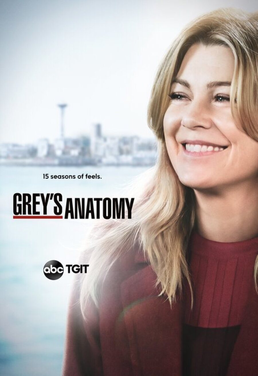 Poster of Grey's Anatomy - Temporada 15