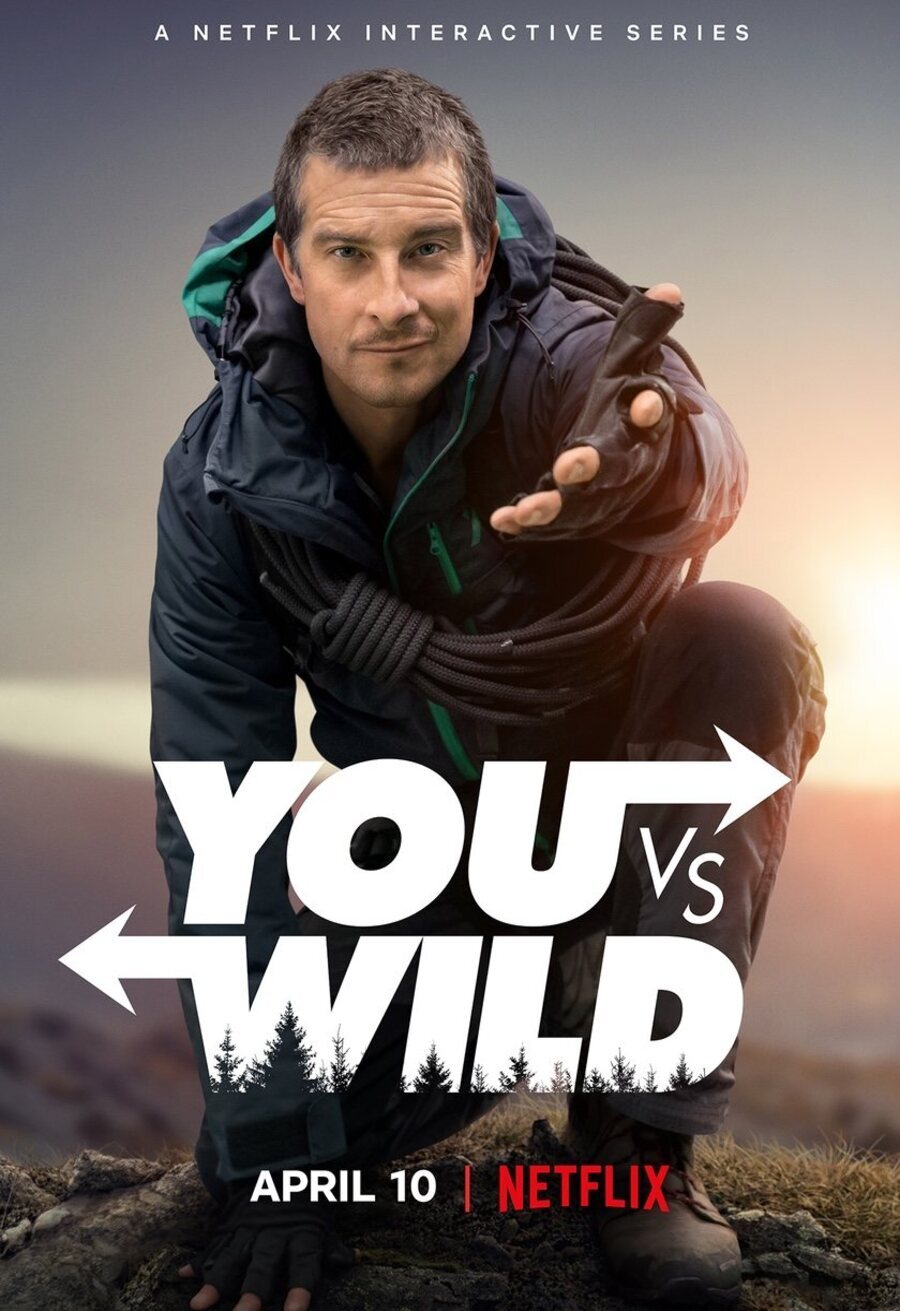 Poster of You vs. Wild - 