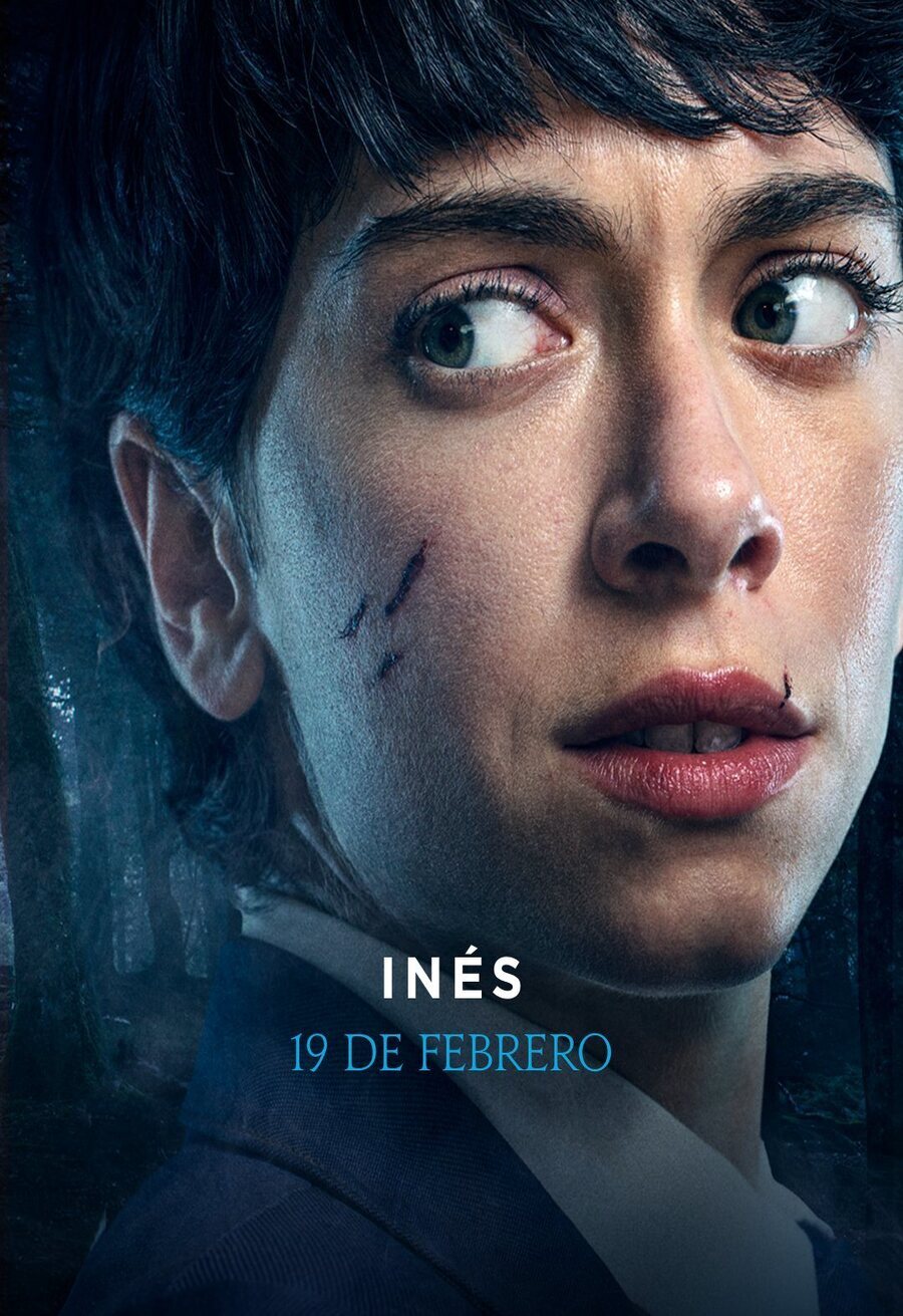 Poster of El Internado: Las Cumbres - Temporada 1 - Inés