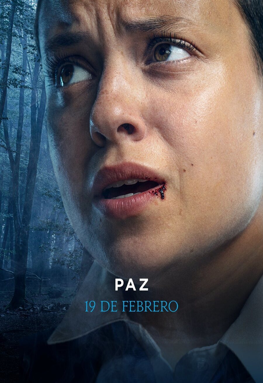 Poster of El Internado: Las Cumbres - Temporada 1 - Paz