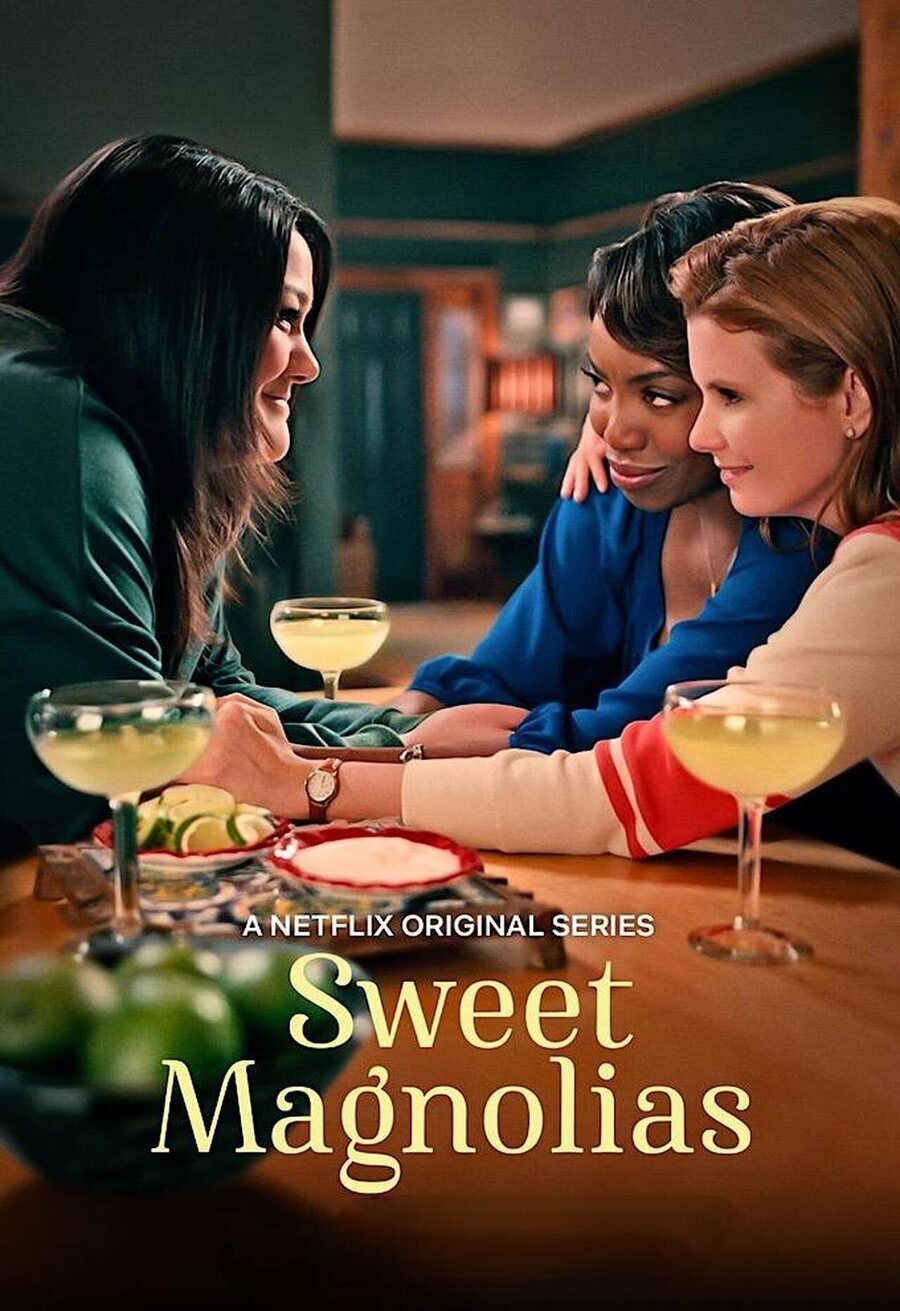 Poster of Sweet Magnolias - Temporada 1