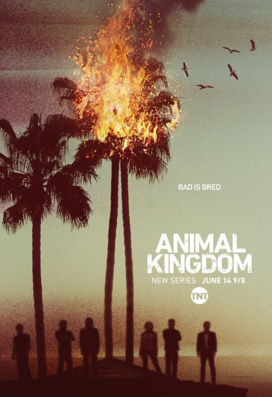 Poster of Animal Kingdom - Temporada 1