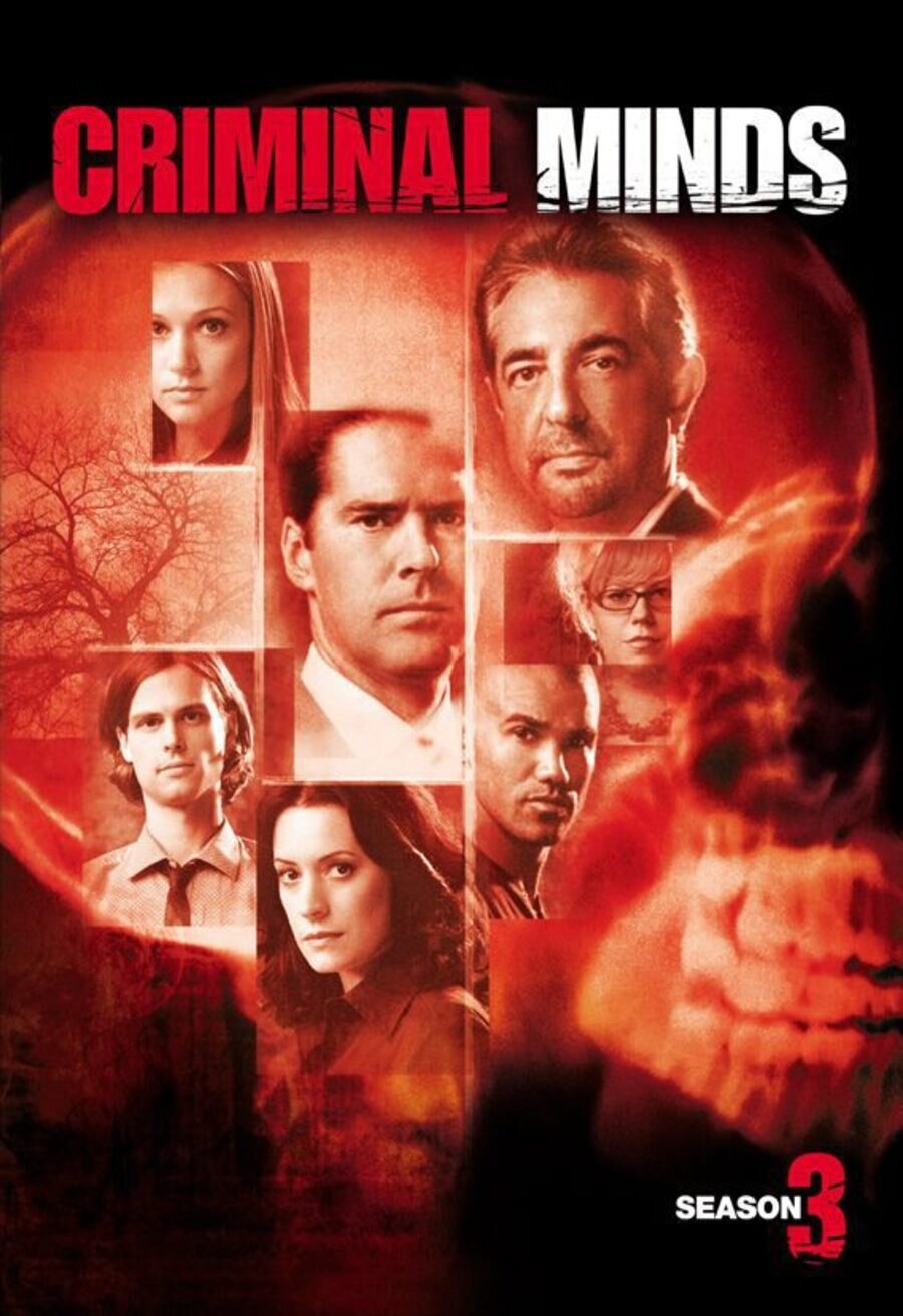 Poster of Criminal Minds - Temporada 3