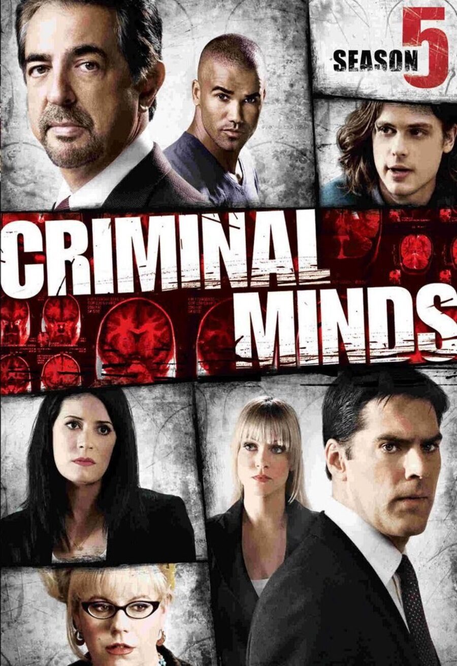 Poster of Criminal Minds - Temporada 5