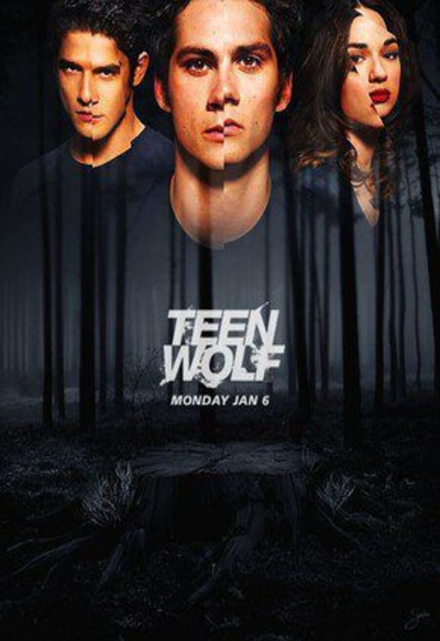 Poster of Teen Wolf - Temporada 3