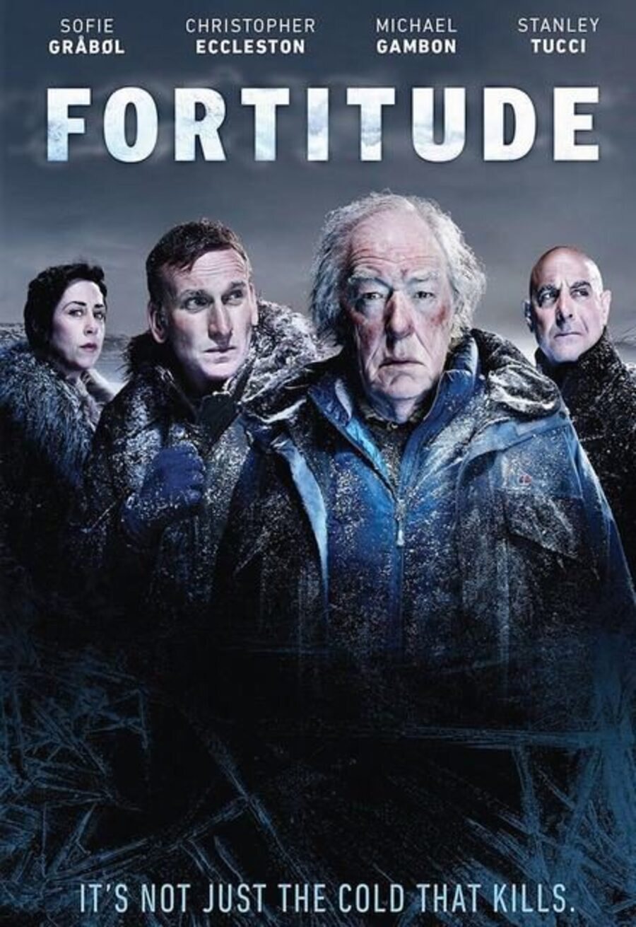 Poster of Fortitude - Temporada 1