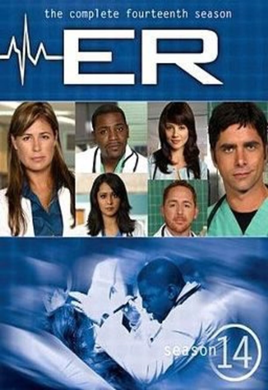 Poster of ER - Temporada 14