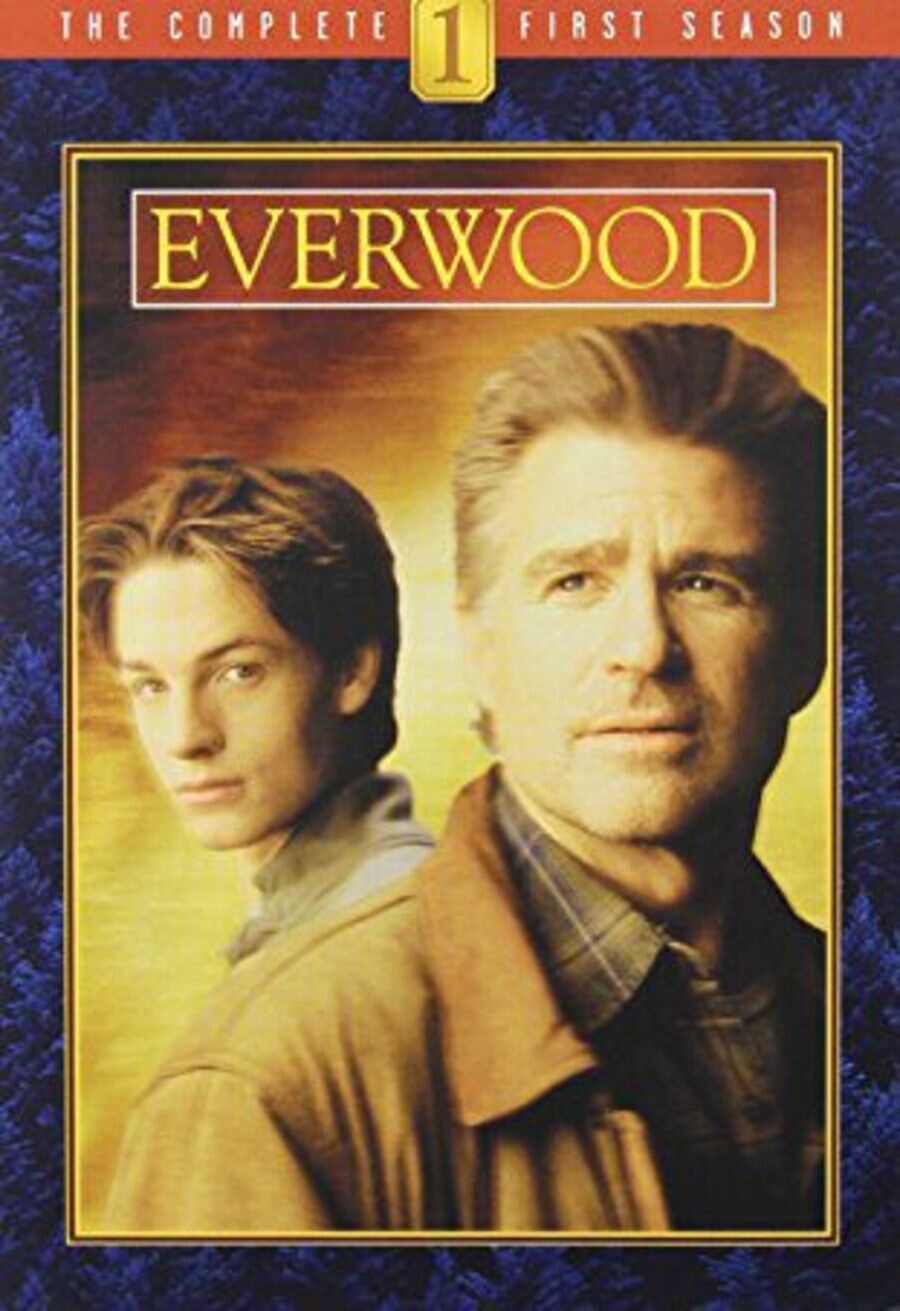 Poster of Everwood - Temporada 1