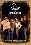 Pasión de Gavilanes