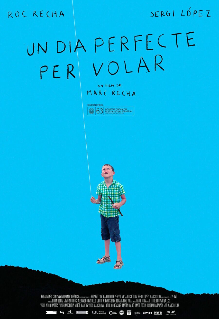 Poster of Un día perfecto para volar - España