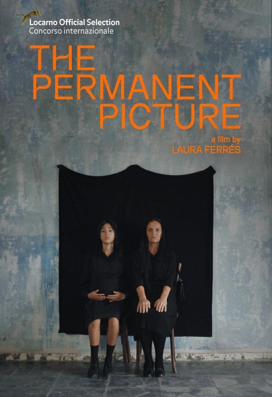 Poster of The Permanent Picture - La imagen permanente