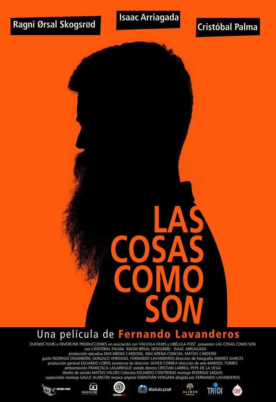 Poster of Las cosas son como son - Chile