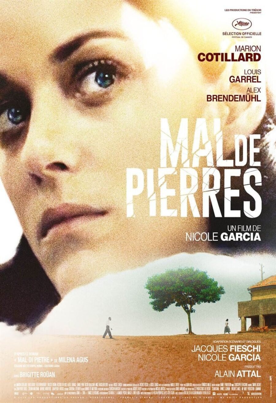 Poster of From the Land of the Moon - Mal de pierres