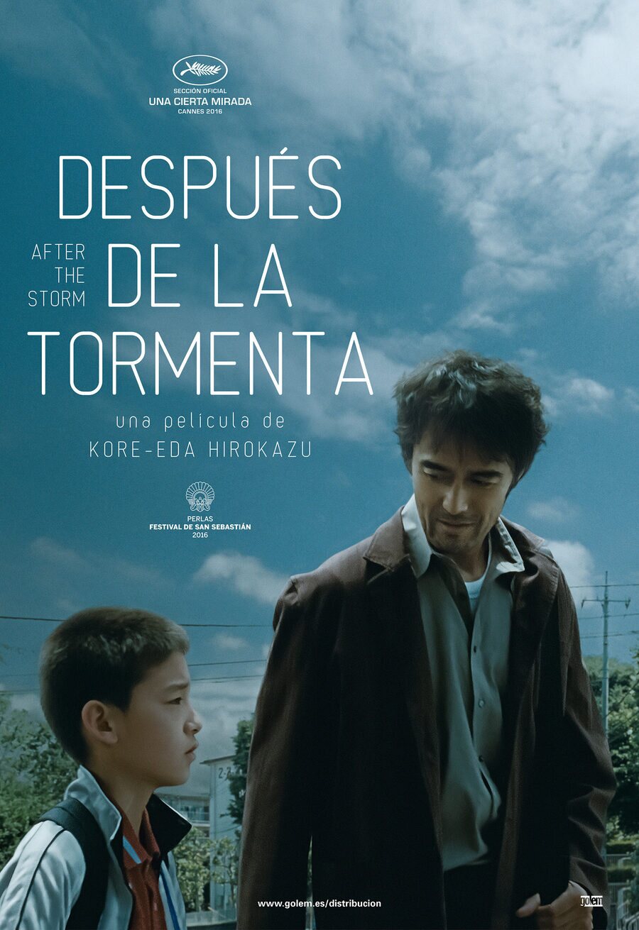 Poster of After the Storm - España