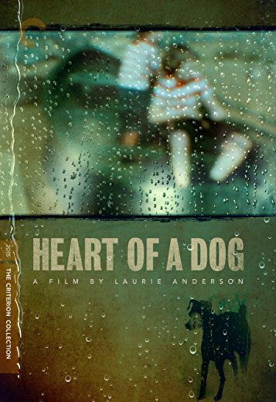 Poster of Heart of a Dog - Internacional #2