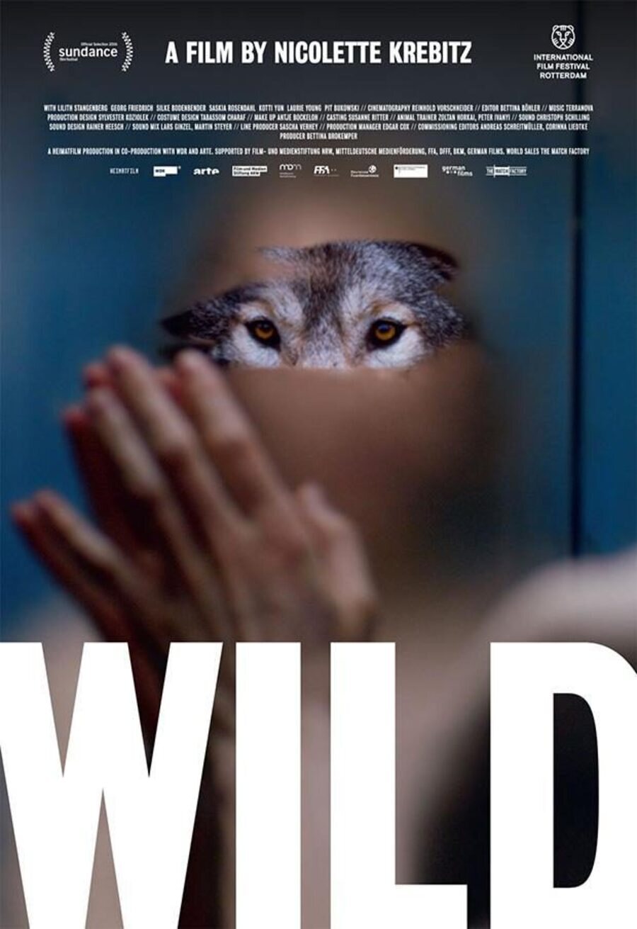 Poster of Wild - Internacional