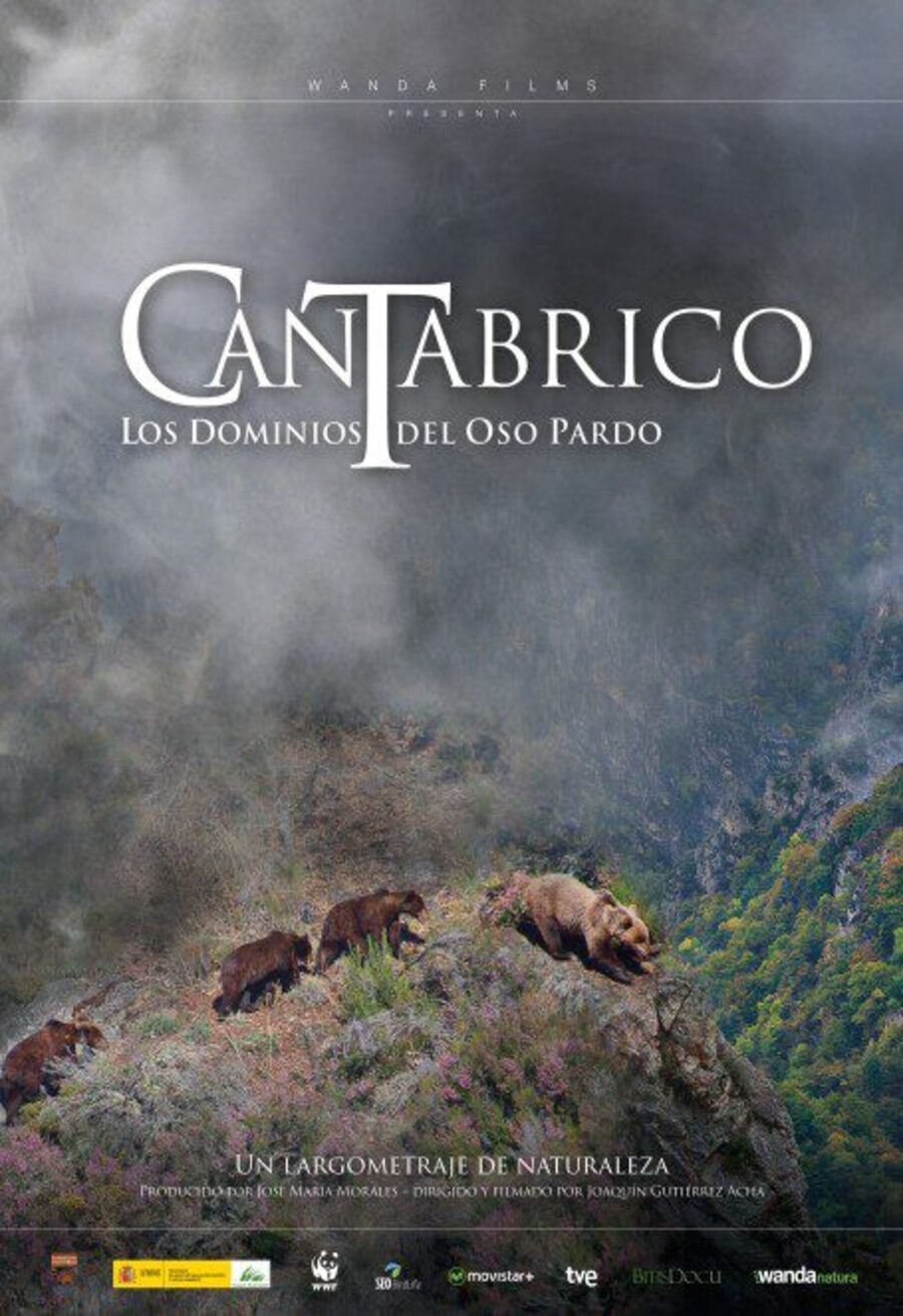 Poster of Cantábrico - España