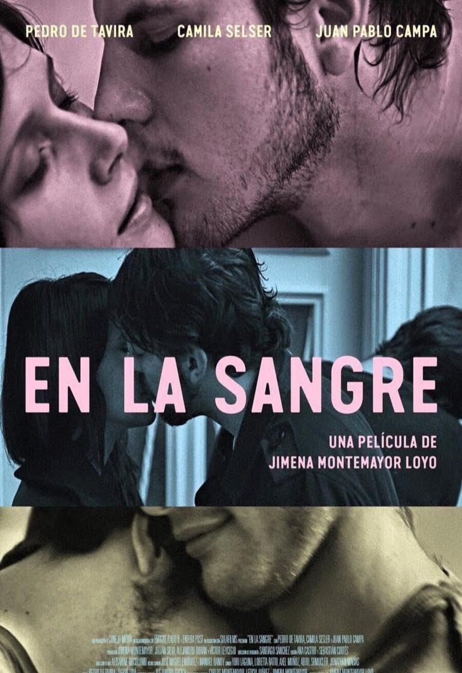 Poster of En la sangre - México 2