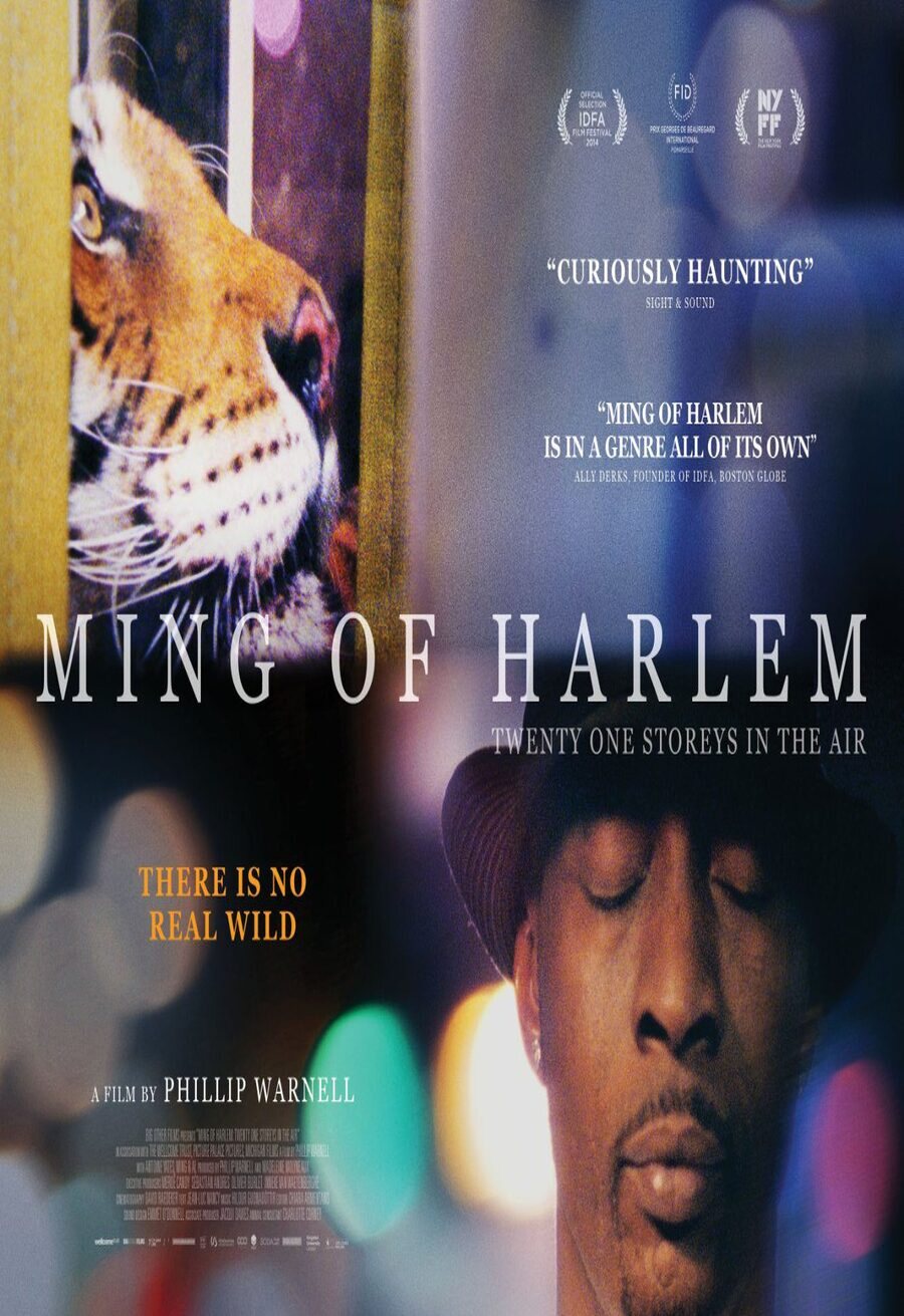 Poster of Ming of Harlem: Twenty One Storeys In The Air - Reino Unido