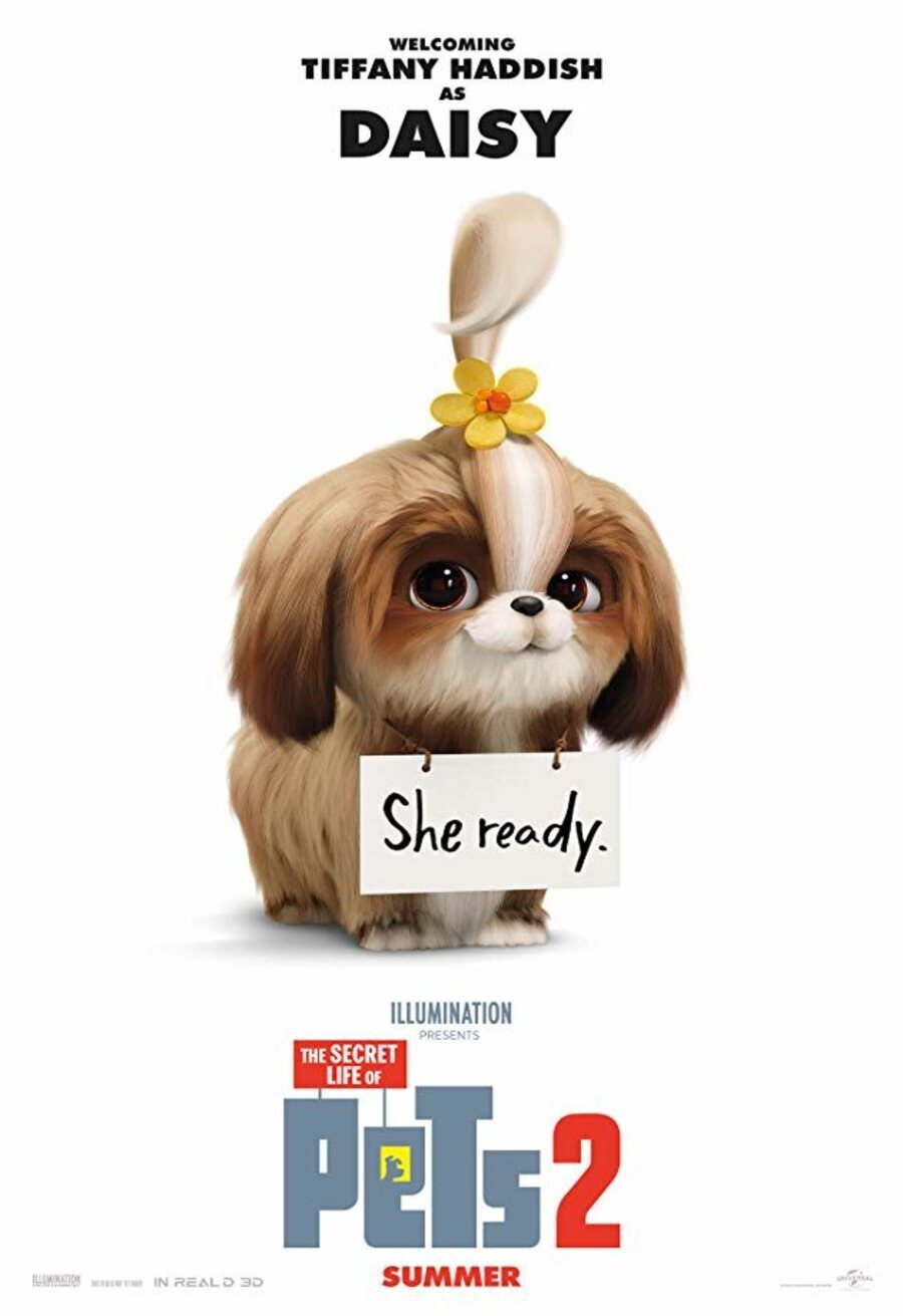 Poster of The Secret Life of Pets 2 - Cartel Daisy