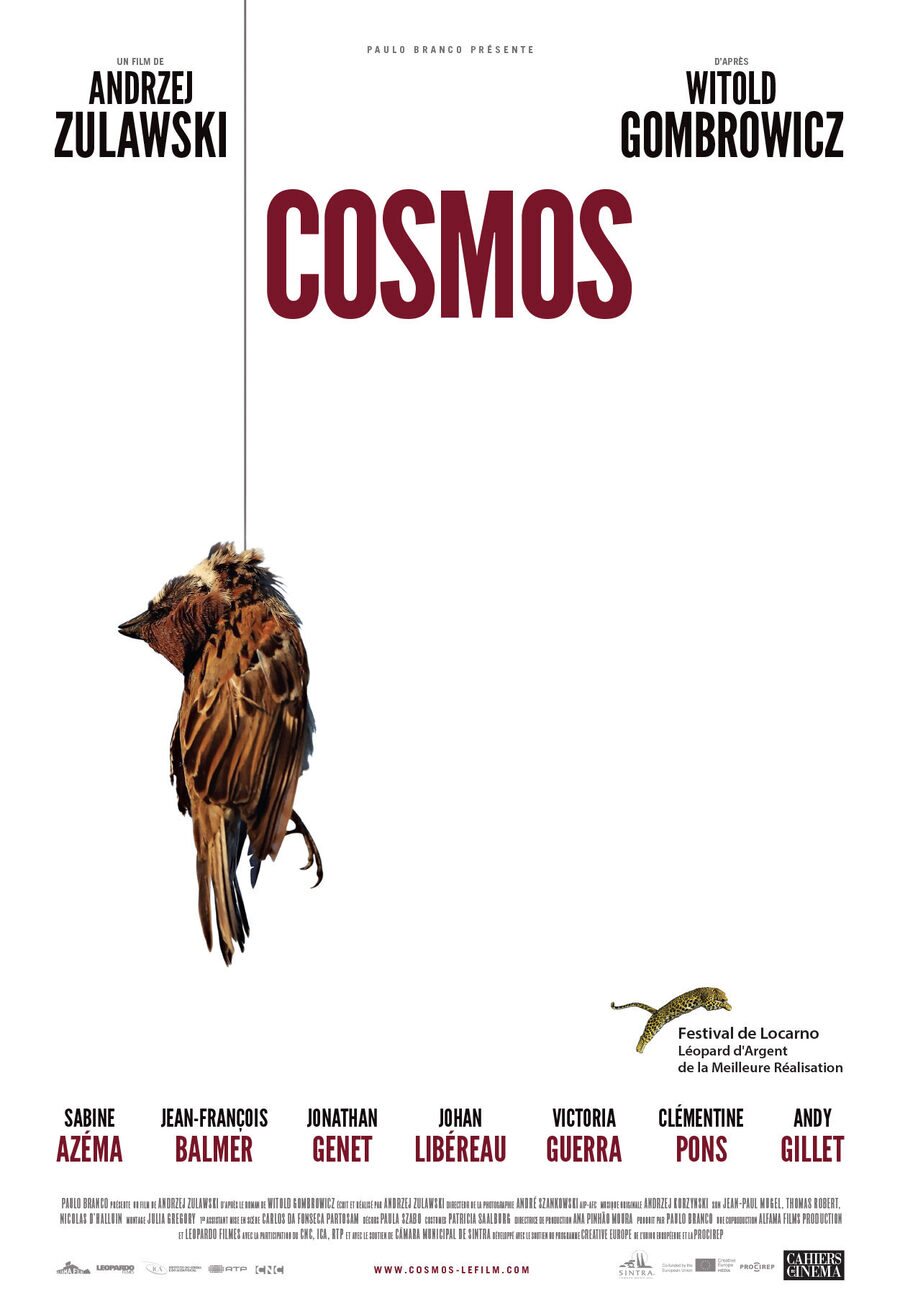 Poster of Cosmos - Francia