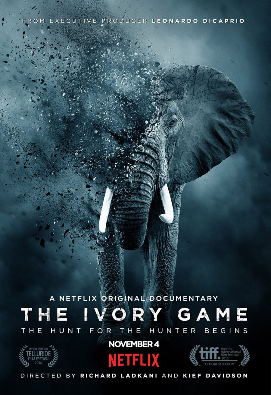 Poster of The ivory game - EE.UU.