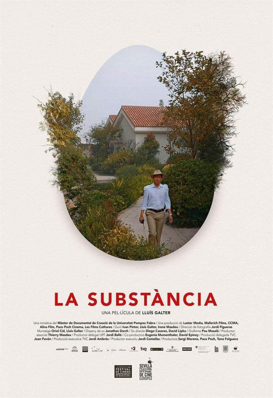 Poster of La substància - Cartel