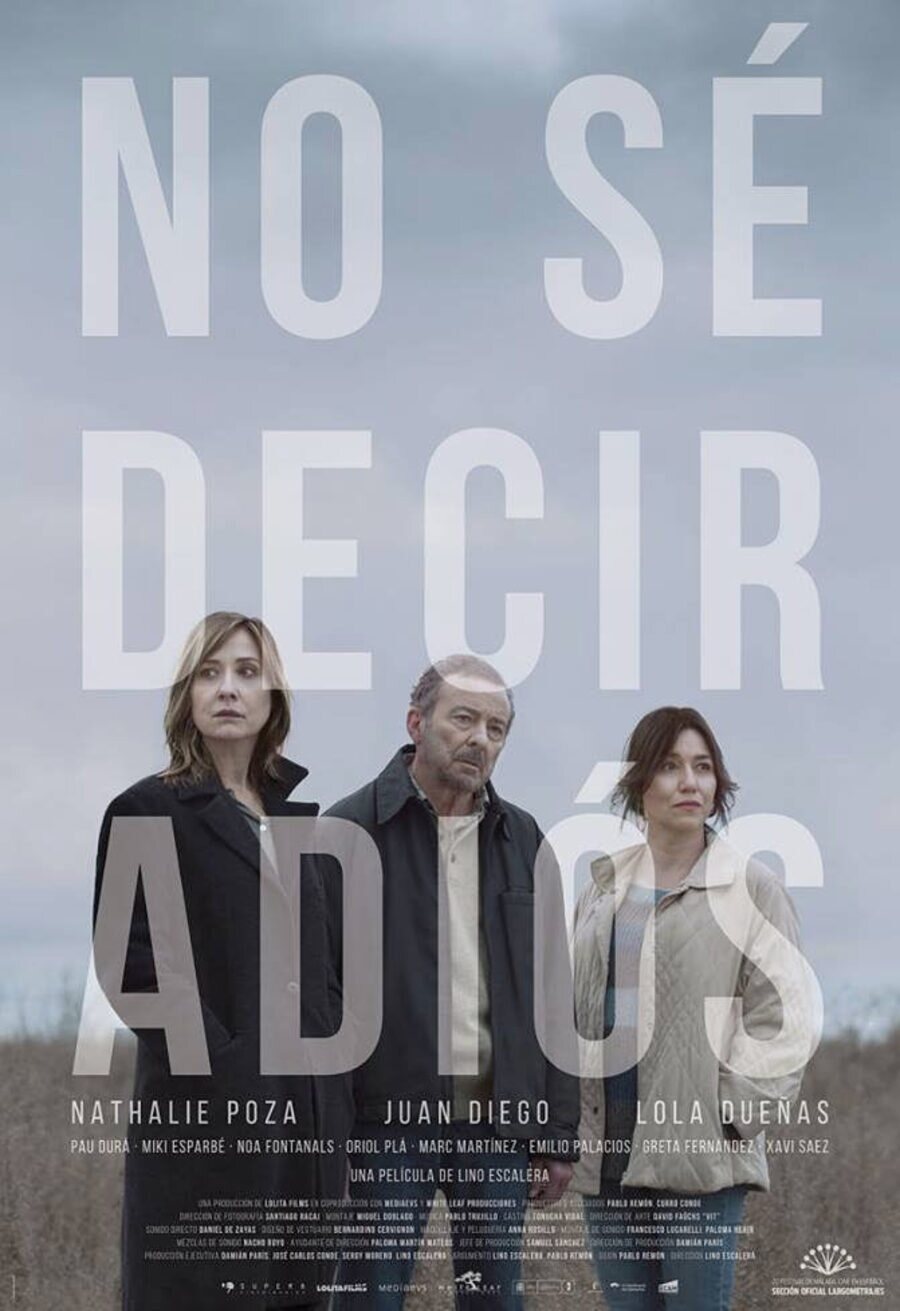 Poster of No sé decir adiós - España