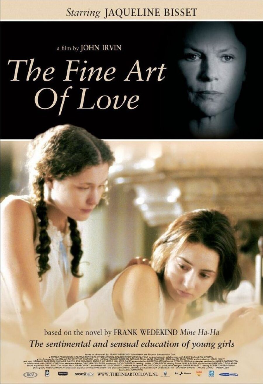 Poster of The Fine Art of Love - Estados Unidos