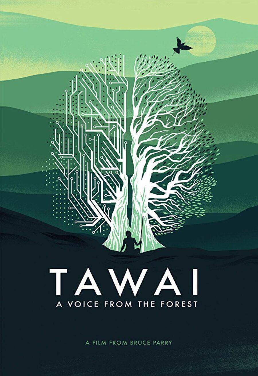 Poster of Tawai: A voice from the forest - Reino Unido