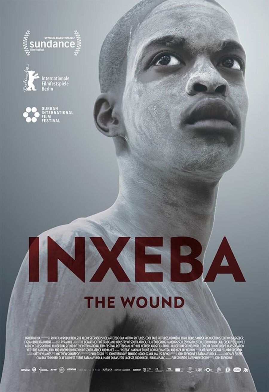 Poster of The Wound - La herida (The Wound)