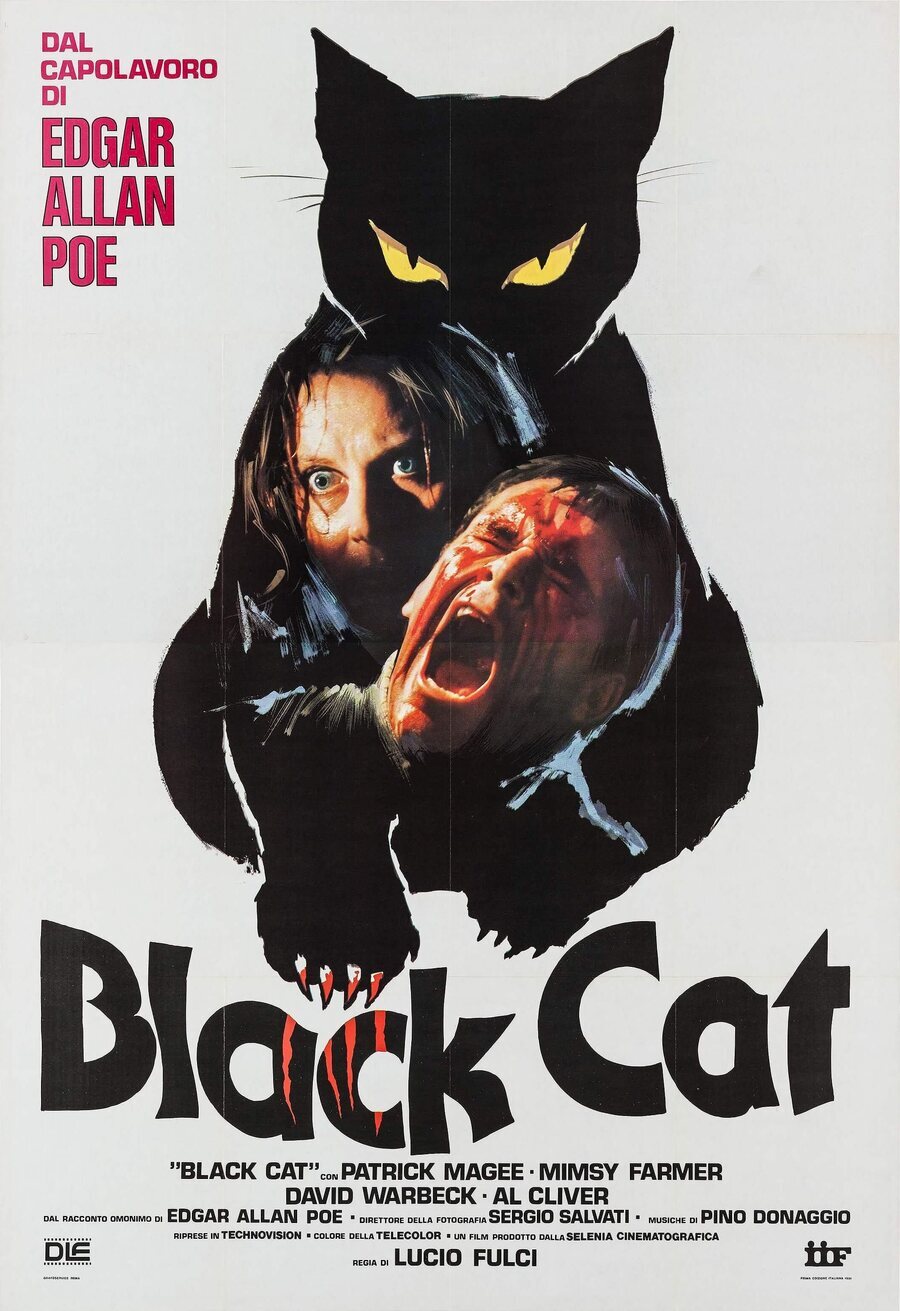 Poster of The Black Cat - Estados Unidos