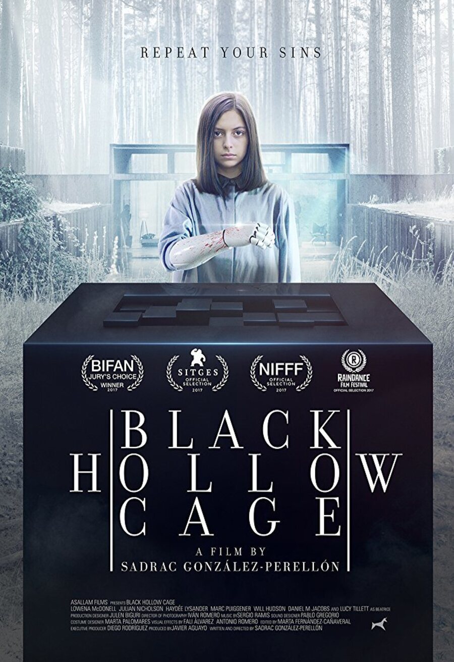 Poster of Black Hollow Cage - Póster EEUU