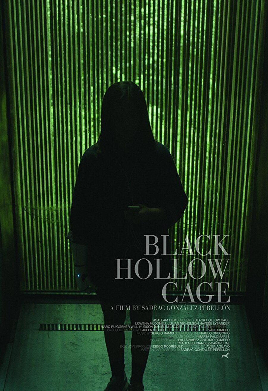 Poster of Black Hollow Cage - Póster 3 EEUU